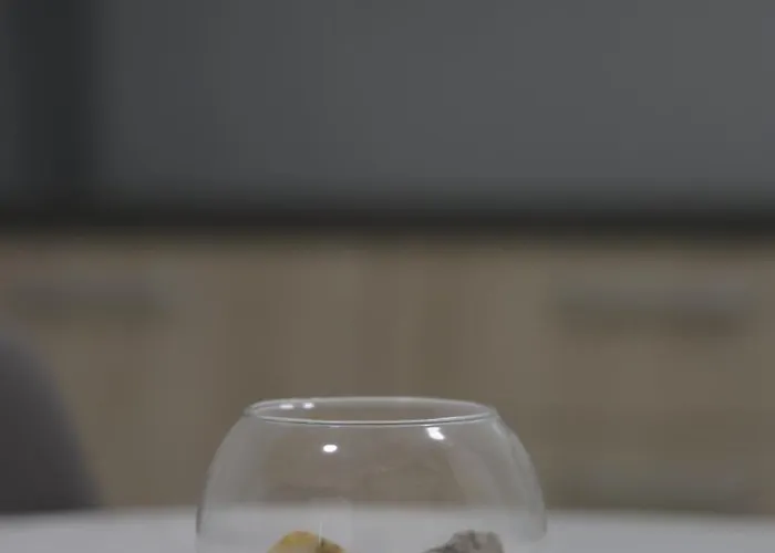 Panorama * Veliko Gradište